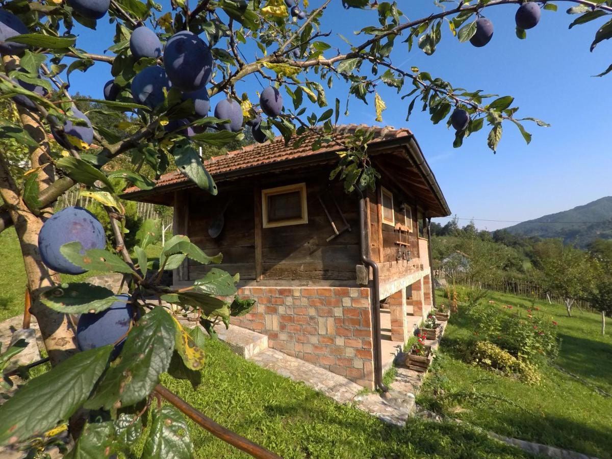 Ethno Village Bogut Bogutovac 외부 사진