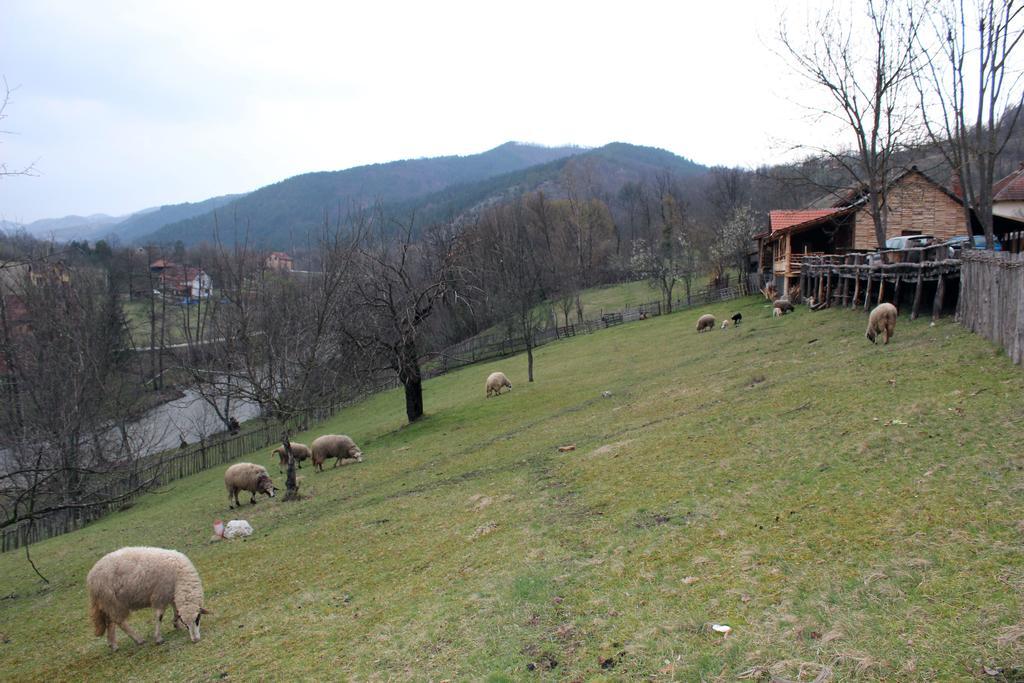 Ethno Village Bogut Bogutovac 외부 사진